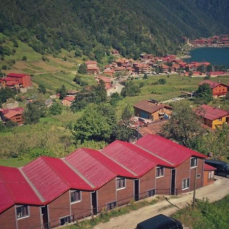 Horio Villa Uzungöl Extérieur photo